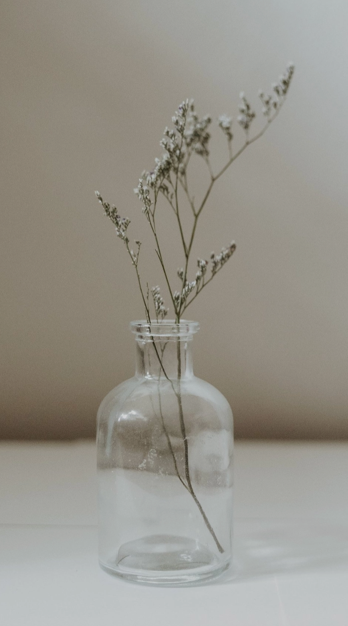 Apothecary Safety Matches