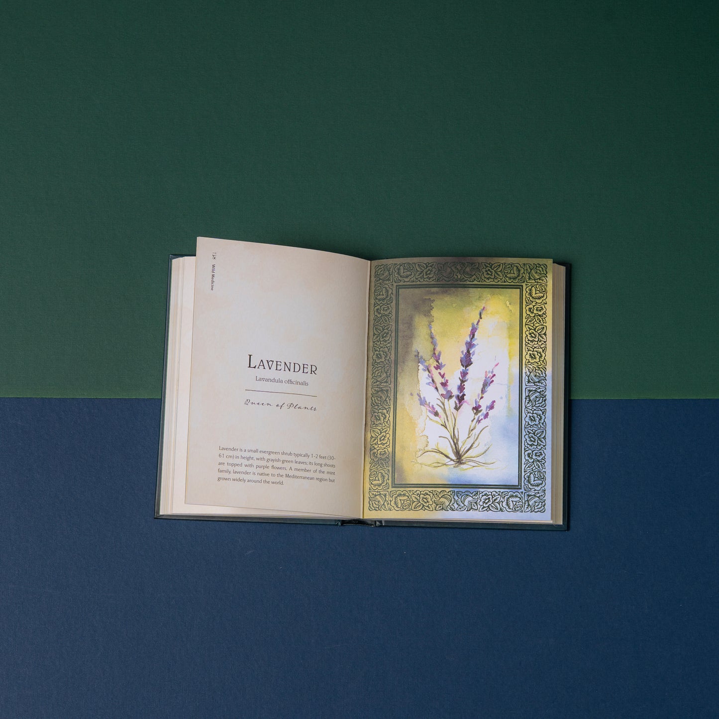 Wild Medicine: An Illustraded Guide To The Magic Of Herbs