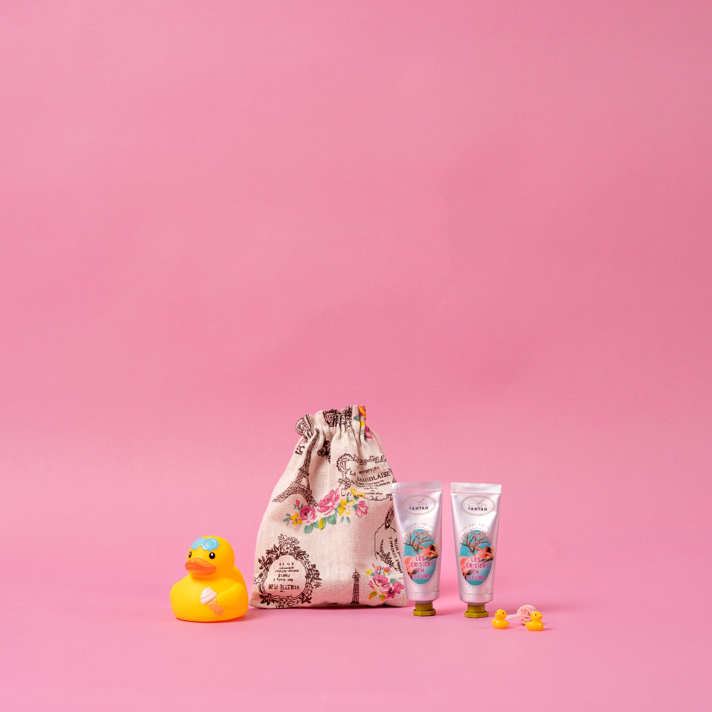 The French Souvenir Bag