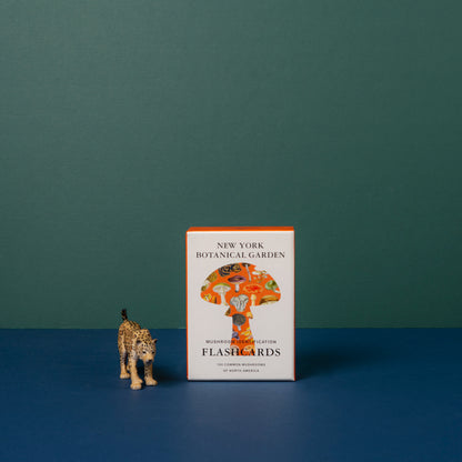 New York Botanical Garden: Mushroom Identification Flashcards