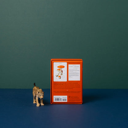 New York Botanical Garden: Mushroom Identification Flashcards