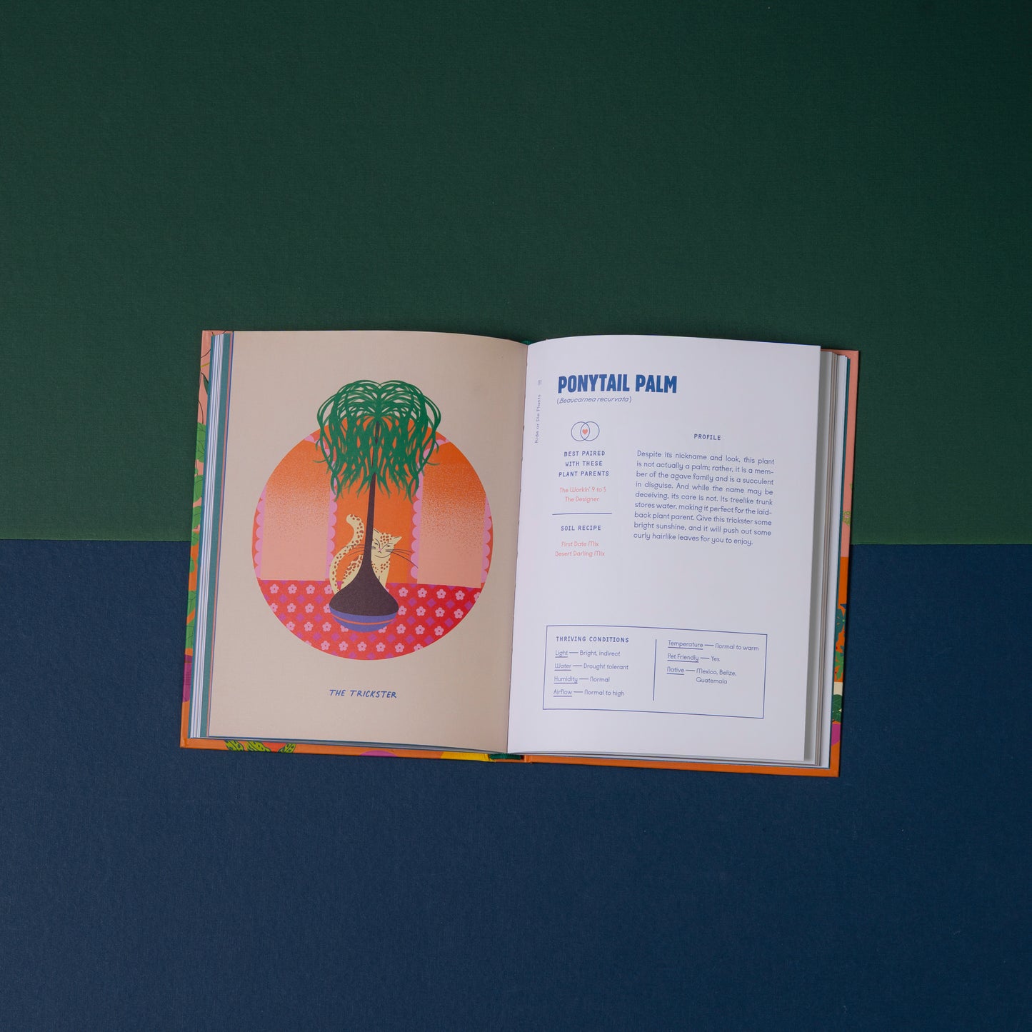 Plants Are My Favorite People: A Relationship Guide For Plants And Their Parents