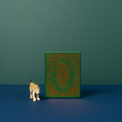 The Happy House Plant Deck: 50 Cards For Intuitive Plant Care