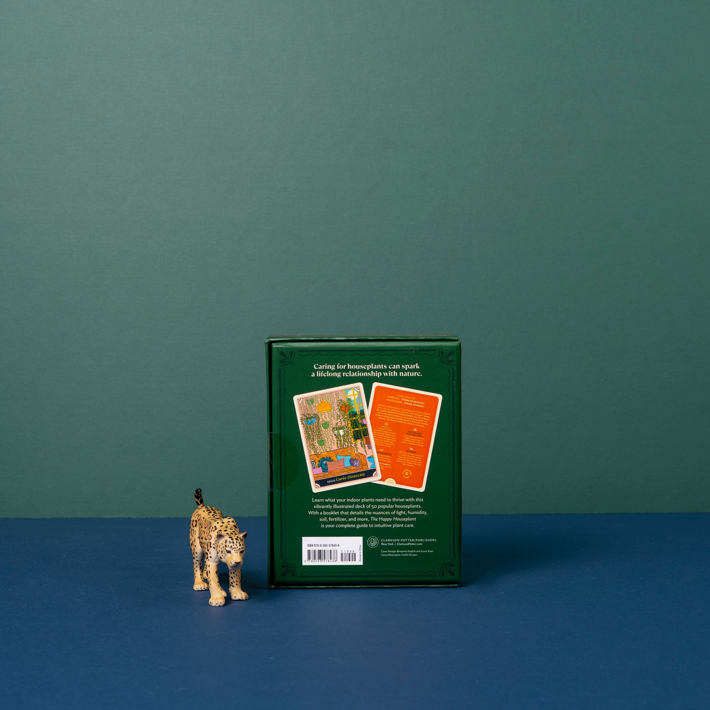 The Happy House Plant Deck: 50 Cards For Intuitive Plant Care