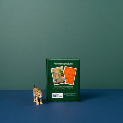 The Happy House Plant Deck: 50 Cards For Intuitive Plant Care