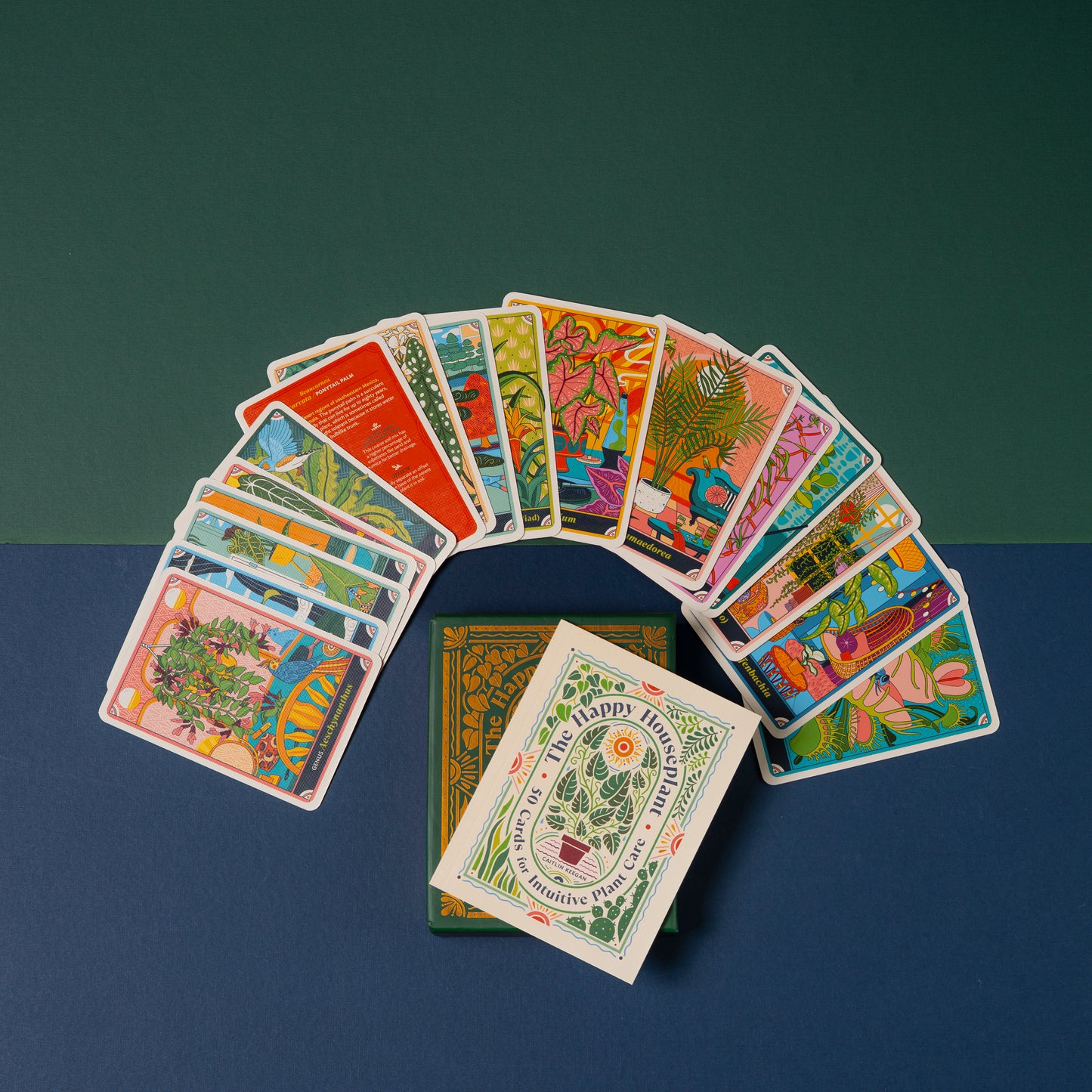 The Happy House Plant Deck: 50 Cards For Intuitive Plant Care